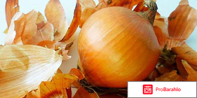 Польза луковой шелухи для здоровья человека отзывы 