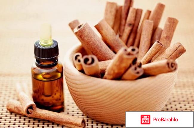 Лучшие эфирные масла для волос отзывы обман