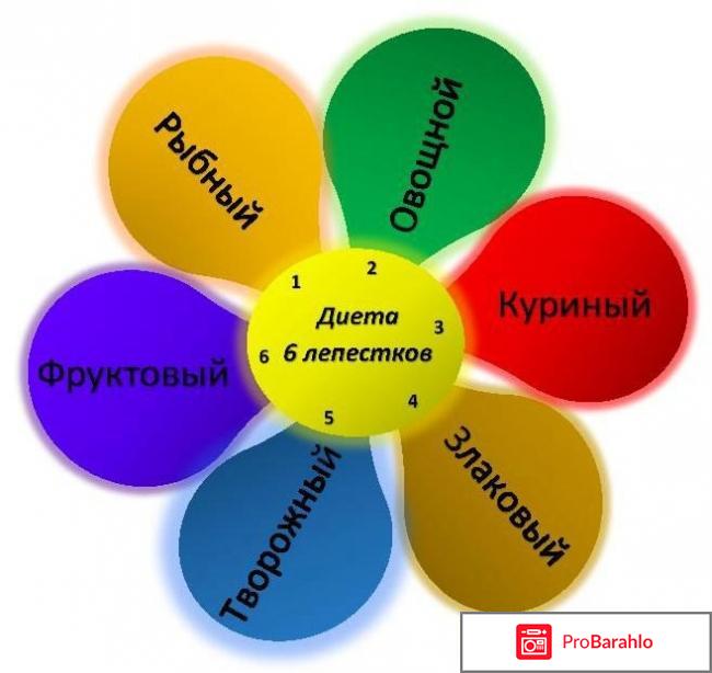 Лепестковая диета отзывы и результаты 