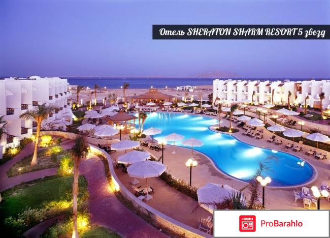 Шератон шарм резорт 5 
