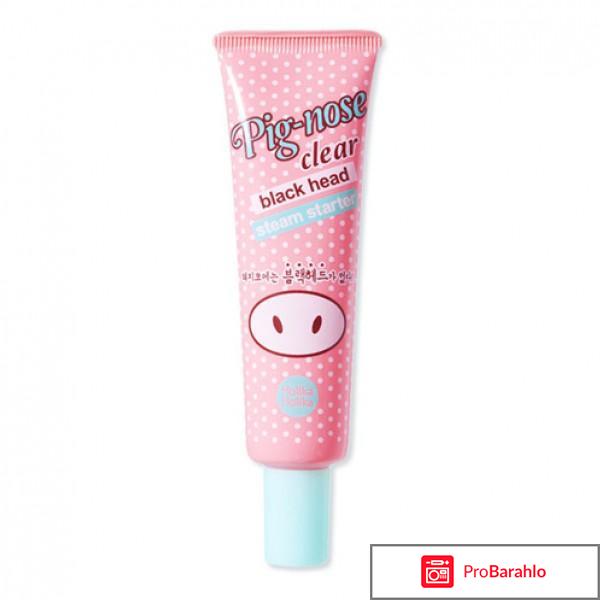 Стартер Pignose Clear Black Head Steam Starter Holika Holika отрицательные отзывы