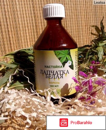 Настойка лапчатки белой отзывы