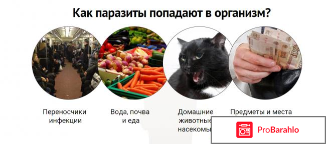 Intoxic развод или правда отзывы 