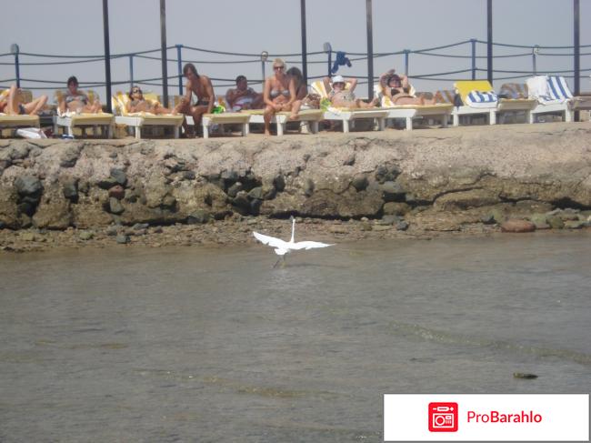 Desert Rоse 5* реальные отзывы