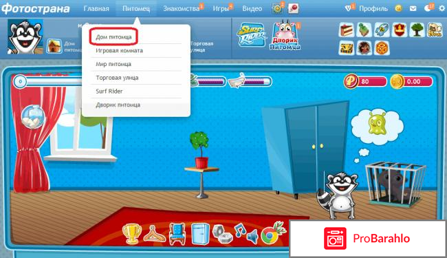 Мой питомец фотострана 