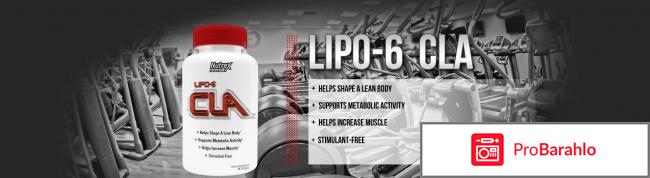 Lipo 6 cla кислота для похудения отзывы последствия обман