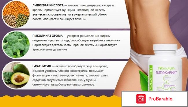 Липокарнит отзывы реальные или развод цена отрицательные отзывы