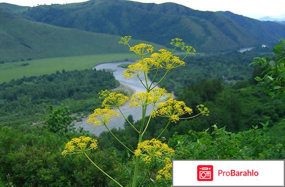 Интоксик отзывы врачей паразитологов цена отзывы владельцев