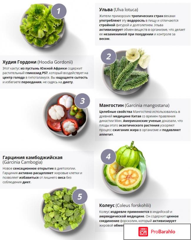 Персонал слим для похудения реальные отзывы