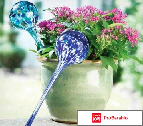 Шар для полива растений Smile WS 104 отрицательные отзывы