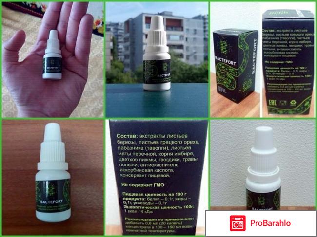 Bactefort что это 