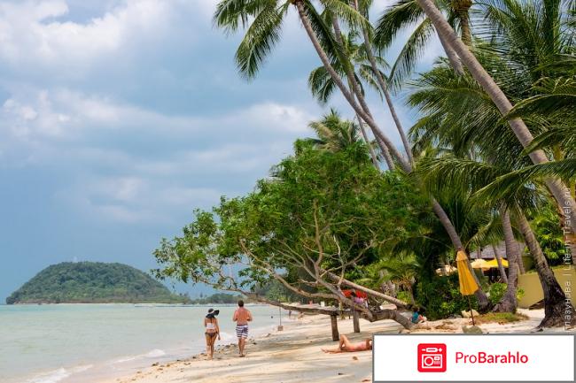 Самуи отзывы туристов 2017 обман