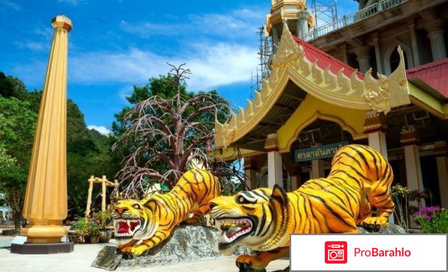 Отдых на краби отзывы туристов фото