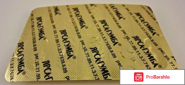 Ярсагумба купить реальные отзывы