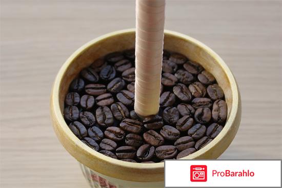 Топиарий реальные отзывы