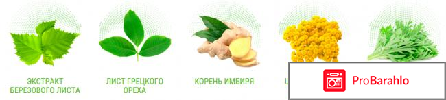 Бактефорт капли от паразитов цена обман