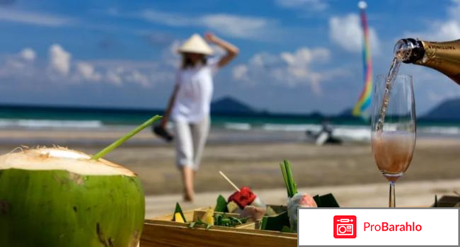 Вьетнам в январе погода отзывы туристов отрицательные отзывы