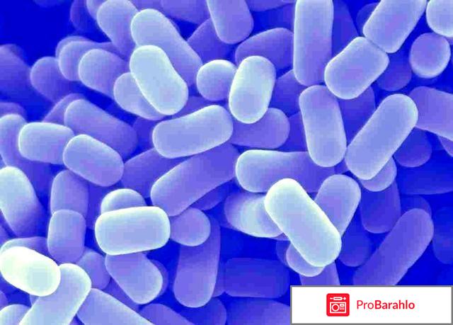 Лактис отзывы отрицательные обман
