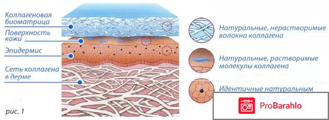 Гидролизованный коллаген 