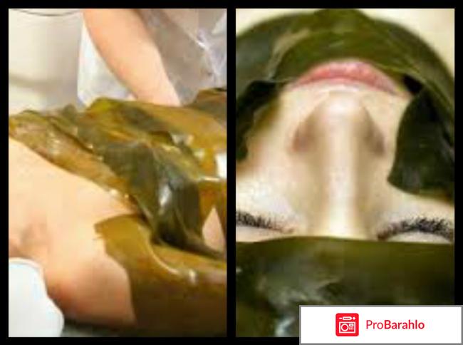 Альготерапия — Лечение морскими водорослями 