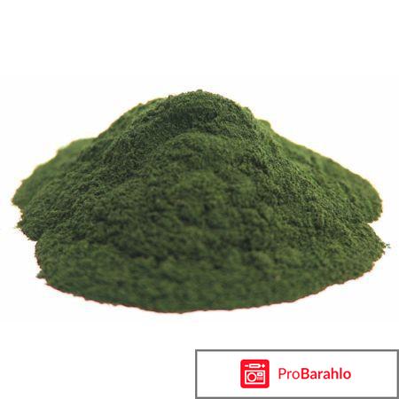 Спирулина в порошке купить в аптеке отрицательные отзывы