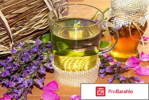 Монастырский чай от алкоголизма: реальные отзывы обман