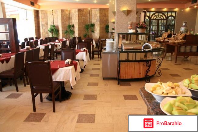 Dessole marlin inn отрицательные отзывы