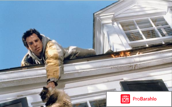 Знакомство с родителями (Blu-ray) отрицательные отзывы