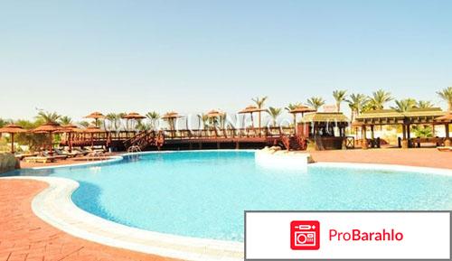 Dessole nesco joyous отрицательные отзывы