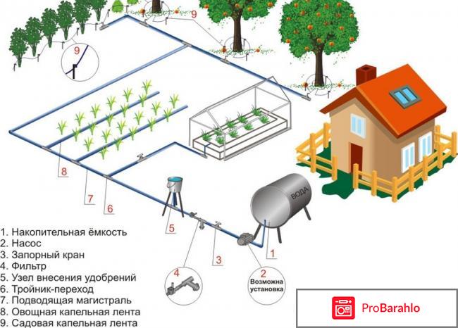 Автоматический полив схема 