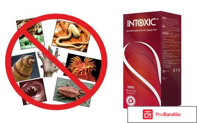 INTOXIC от паразитов - Где купить? Состав и отзывы. отрицательные отзывы