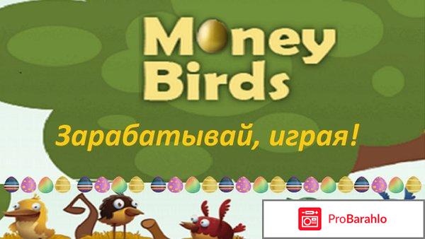 Money birds 2017 