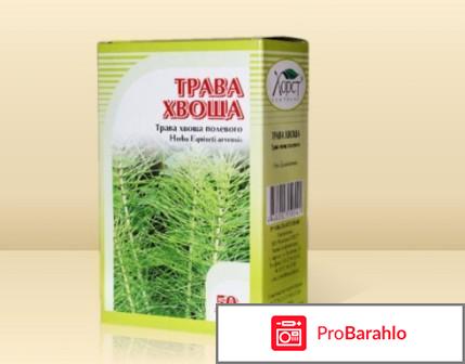 Хвощ полевой 