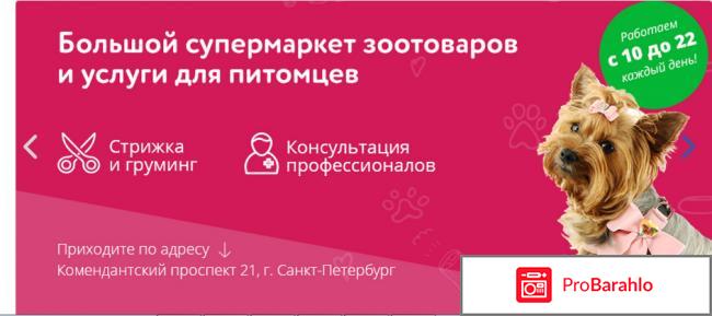 Интернет магазин зоотоваров и услуг petz.ru 