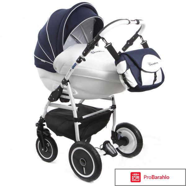 Адамекс чемпион 