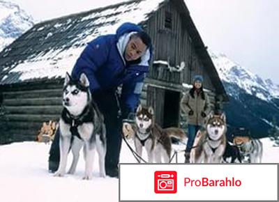 Снежные псы 