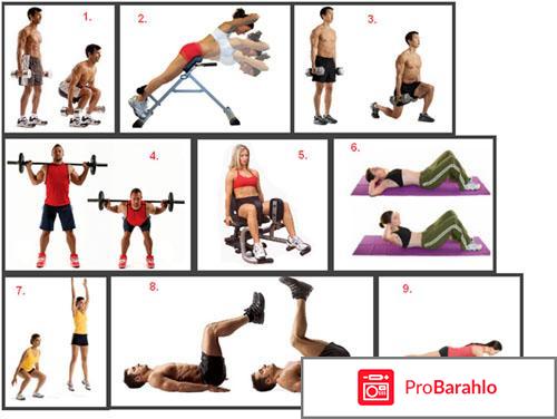 Круговая программа тренировок для сжигания жира отрицательные отзывы