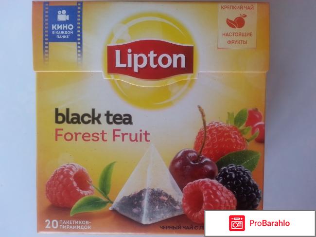 Чай Lipton Forest Fruit 