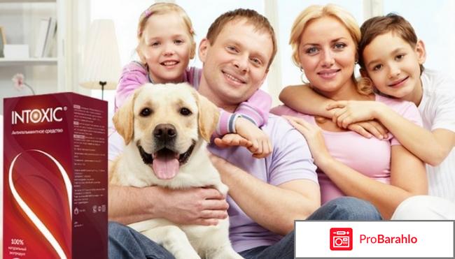 Intoxic очередной развод или правда? 