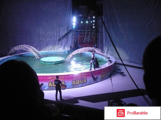 Московский цирк на воде Aqua show фото