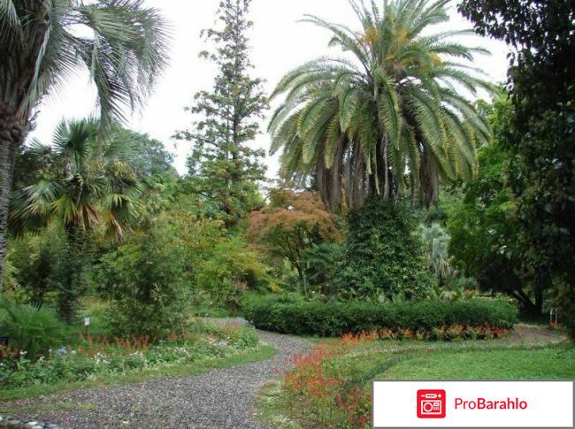 Сухуми фото