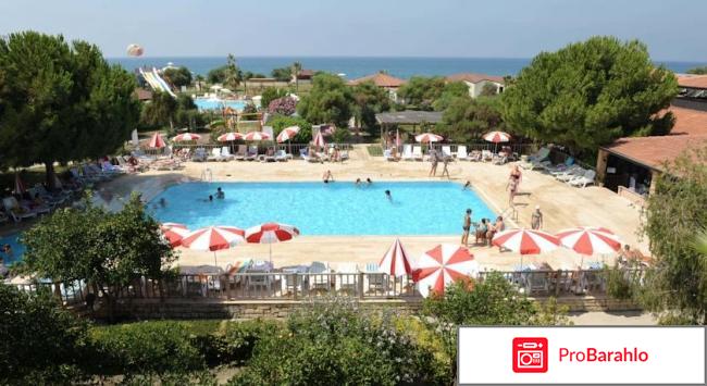 Club serena beach hotel обман