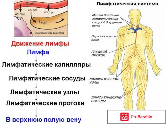 Чистка лимфы 