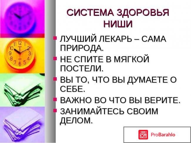 Система ниши отзывы негативные 