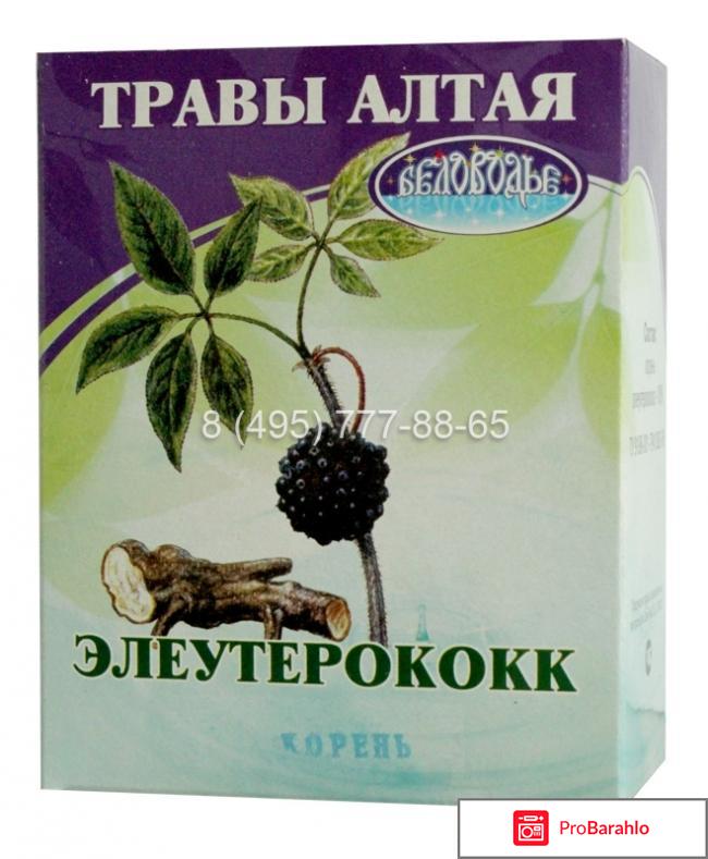 Элеутерококка обман