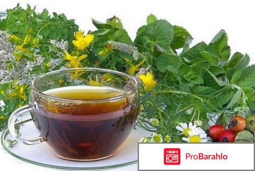 Монастырский чай отца георгия официальный сайт отрицательные отзывы