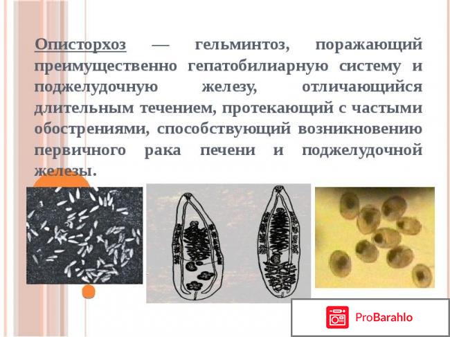 Чем опасен описторхоз если не лечить отрицательные отзывы