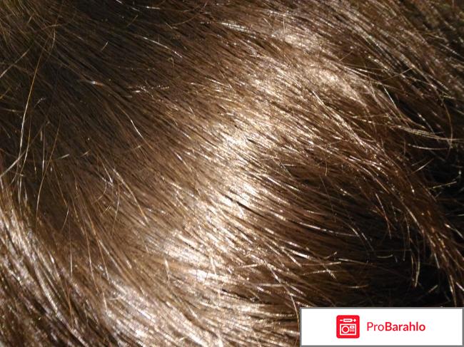 Шампунь N6 против сечения волос, для поврежденных волос Zeitun фото