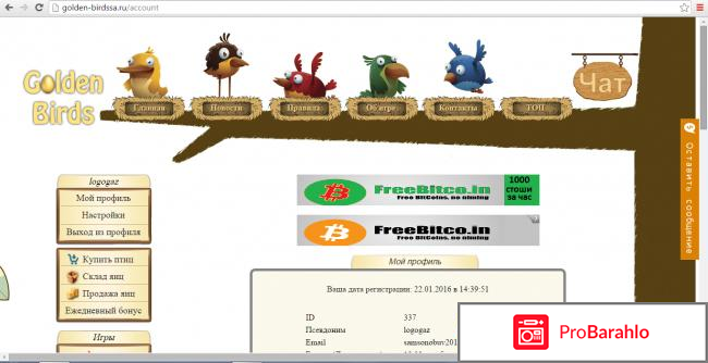 Goldenbirdsproject.ru отрицательные отзывы