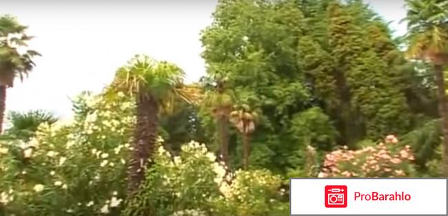 Отзывы 2017 южное взморье реальные отзывы